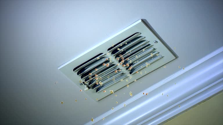 Best Air Duct Cleaning Near Me  in Murrells Inlet, SC