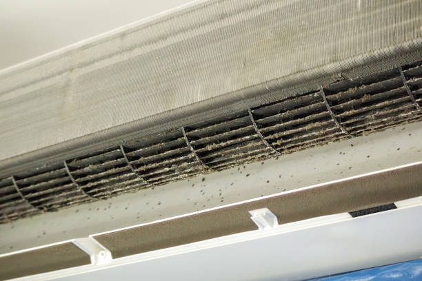 Best Emergency Air Duct Cleaning  in Murrells Inlet, SC